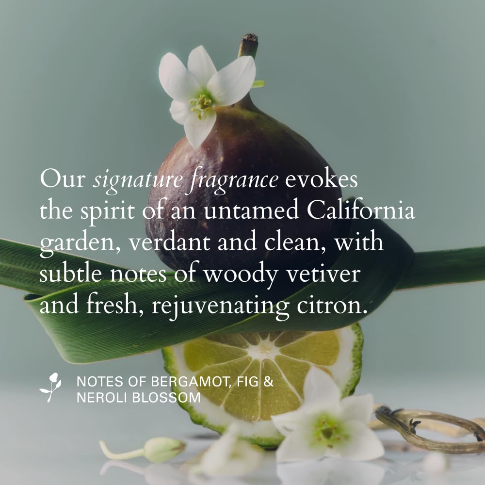 RŌZ Foundation Shampoo For All Hair Types & Textures | Hydrating, Balancing & Cleansing For Healthy Hair| Vegan, Color-Safe, Free of Silicone, Paraben, SLS | Strengthens & Nourishes 10.1 oz/300 mL