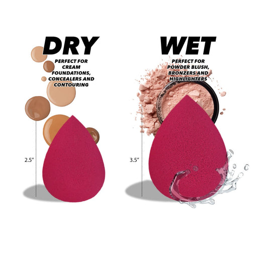 Earth & I 20 Piece Makeup Sponges for Face, Blender Sponge, Make Up Blender Sponges for Face, Foundation Applicator, Makeup Disposable Applicators, Cosmetic Sponges, Make Up Accessories