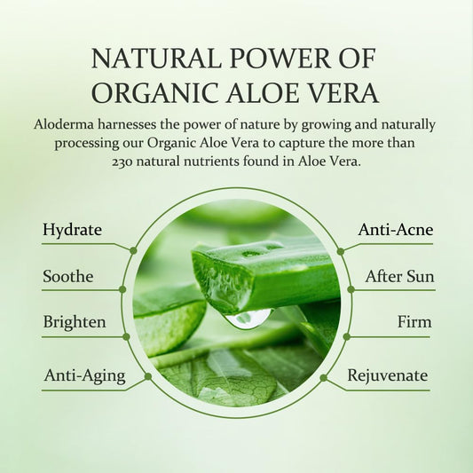 Aloderma Brightening Sheet Masks with 88% Organic Aloe Vera - 5 Pack Facial Masks with Niacinamide, Arginine for Radiant Skin - Evens Skin Tone & Revitalizes Rough, Dull Skin - Aloe Face Mask Sheet