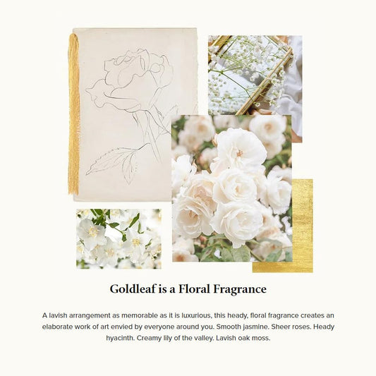 Thymes Goldleaf Perfumed Body Crème - Moisturizing Body Cream - Shea Butter Body Lotion with Vitamin E, jojoba Oil, and Honey for Skin Care Routine - Body and Hand Lotion for Women & Men (9.25 fl oz)