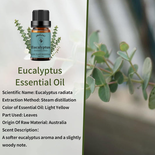 yethious Lavender Eucalyptus Essential Oil Organic Pure Plant Lavender Oil Essential Oil for Diffuser, Skin, Hair Care
