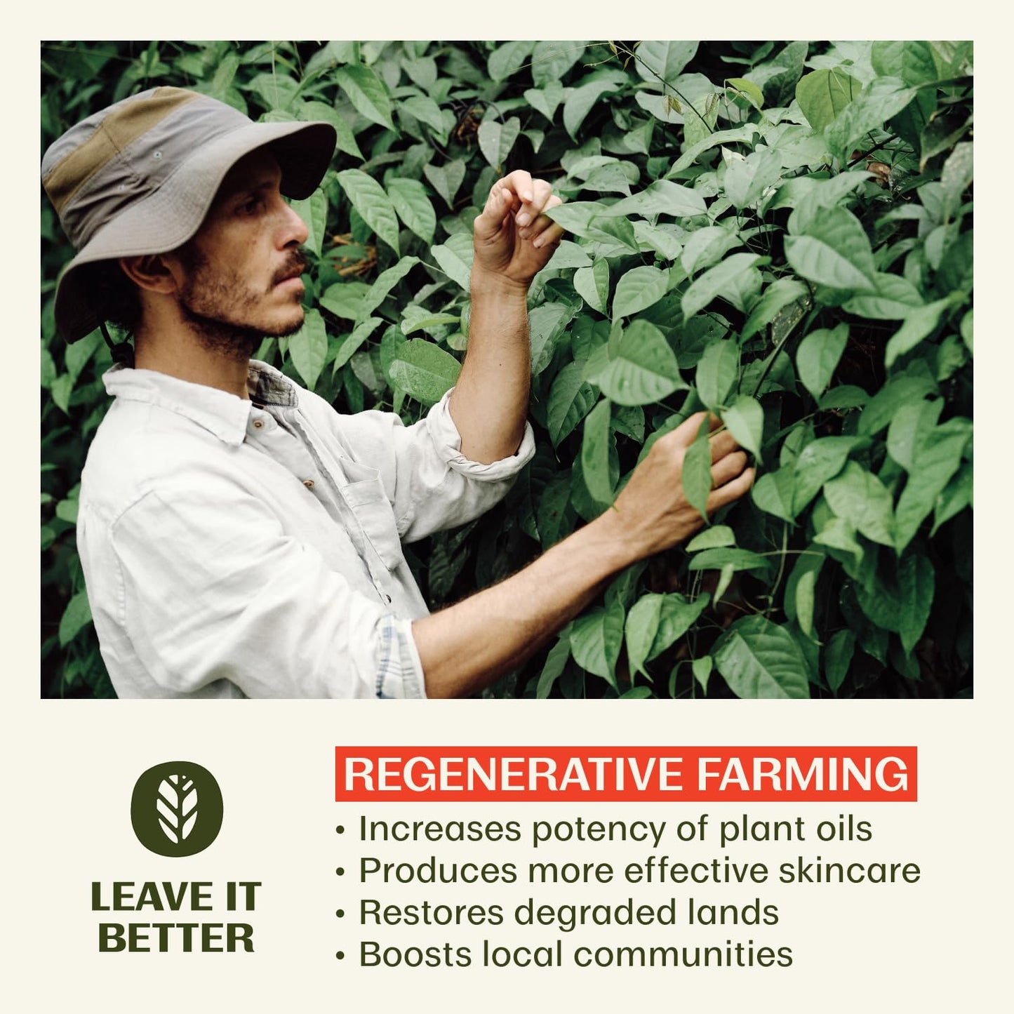 Thrive Natural Care Reef Safe Sunscreen SPF50 - Hawaii 104 Reef Act Compliant - Mineral Sunscreen Non-Nano Zinc Oxide - Vegan, (5.8 Oz (Pack of 1))