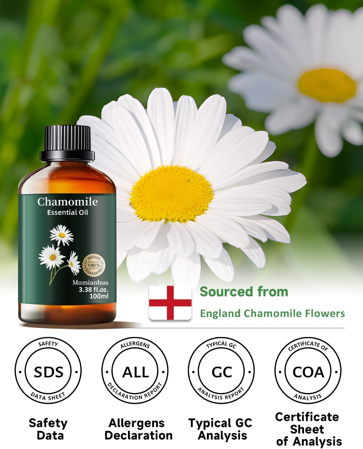 Chamomile Essential Oil Pure, Mumianhua Natural Chamomile Oil Therapeutic Grade Aromatherapy Oil for Skin, Diffuser, Aromatherapy, Candle Making, Soap Making, Hair 3.38 Fl Oz
