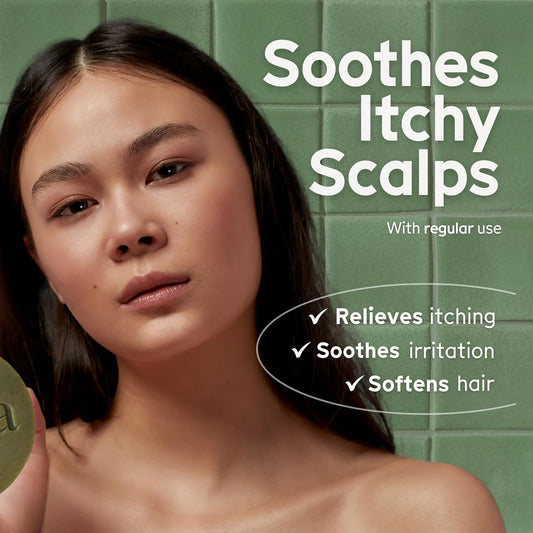 Arista Anti-Dandruff Shampoo Bar | Sulfate-Free, with Leaf Powder, Arnica & Tea Tree | Vegan Solid Shampoo Bar