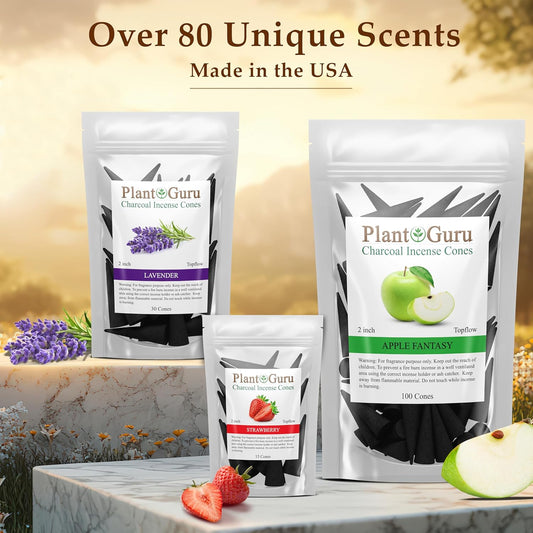 Frankincense Charcoal Incense Cones 2" TOPFLOW - 60 Pack Bulk - Natural Scented Cones Handmade Hand Dipped
