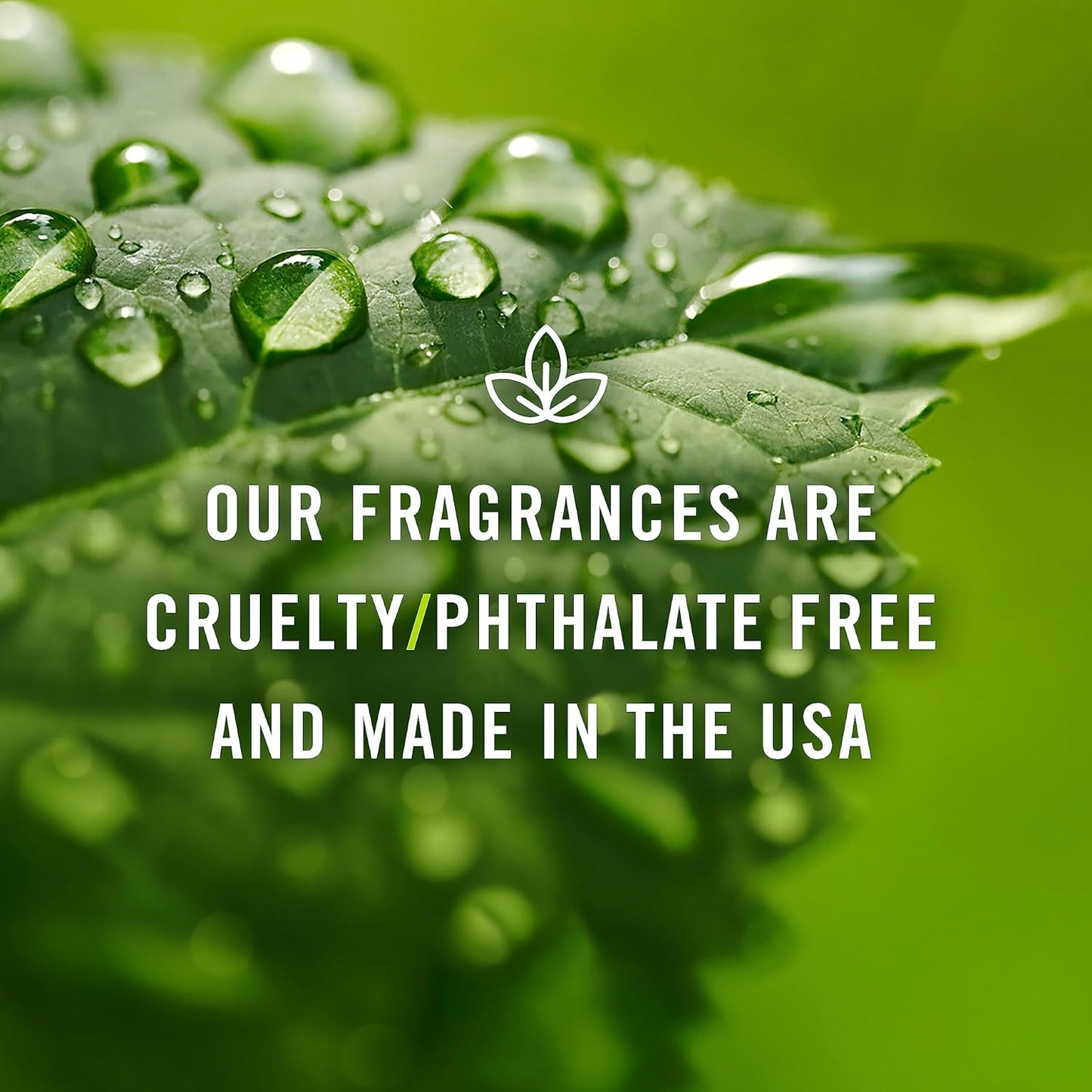 P&J Fragrance Oil - Cucumber Melon Scent, 30ml