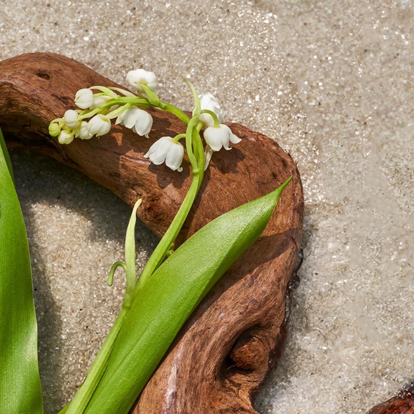 AromaTech Santal Escape Aroma Essential Oil Blend: Luxury Hotel Inspired Aromatherapy with Ocean Air, Sandalwood, Iris for Ultrasonic Diffusers & Nebulizers - 0.3 fl oz, 10 mL