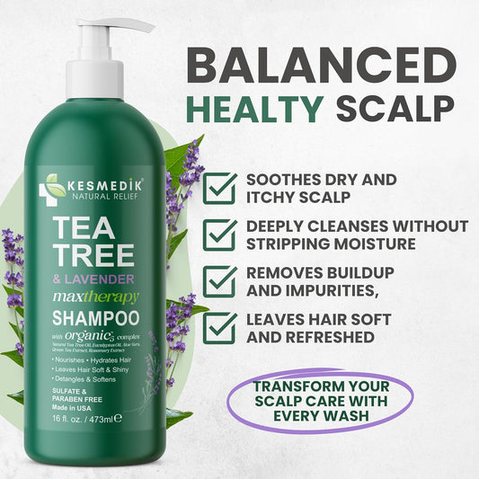 Tea Tree Lavender Shampoo with Mint & Rosemary, Cleanses, Cools & Soothes Dry, Itchy Scalp, Sulfate & Paraben-Free, For All Hair Types 16 fl oz