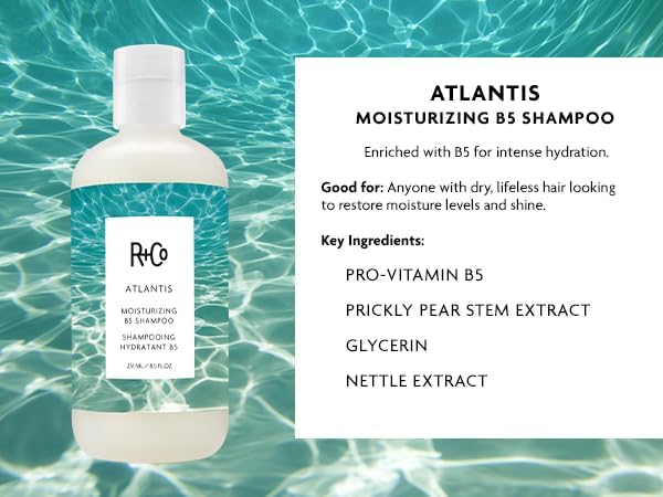 R+Co Atlantis Moisturizing B5 Shampoo + Conditioner + High Dive Deluxe Sample | Vegan + Cruelty-Free | 2 x 8.5 Oz + .5 Oz Deluxe Sample