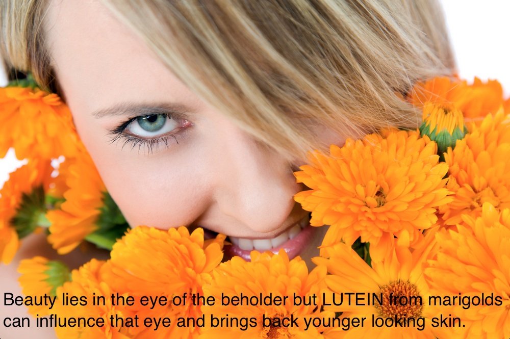 On In Beauty System