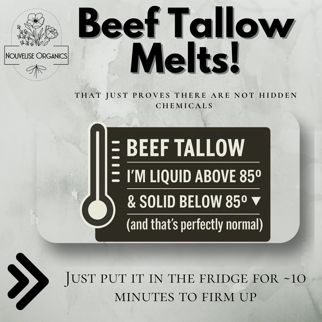 Tallow Lip Balm | 100% Organic Tallow, Organic Beeswax, Jojoba, and Shea Butter | Moisturizing Lip Care for Dry, Chapped Lips | Handcrafted in USA - Razzleberry