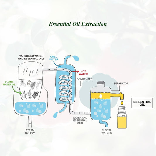 Apple Essential Oil Pure, Mumianhua Natural Therapeutic Grade Aromatherapy Apple Oil for Diffuser, Scented Candles, Car Air Soap, Hair,Skin, Spa, Massage, Yoga, Perfume 0.33 Fl Oz