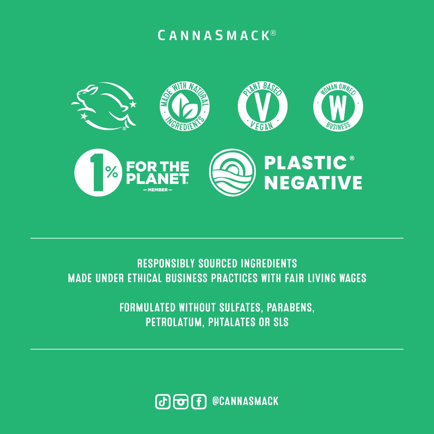 CannaSmack Vegan Hemp Lip Balm - 5 Flavors Included - Soothe, Moisturize, Hydrate, Protect, & Nourish Dry Chapped or Irritated Lips - Made with Hemp Seed Oil, Natural, & Botanical Ingredients