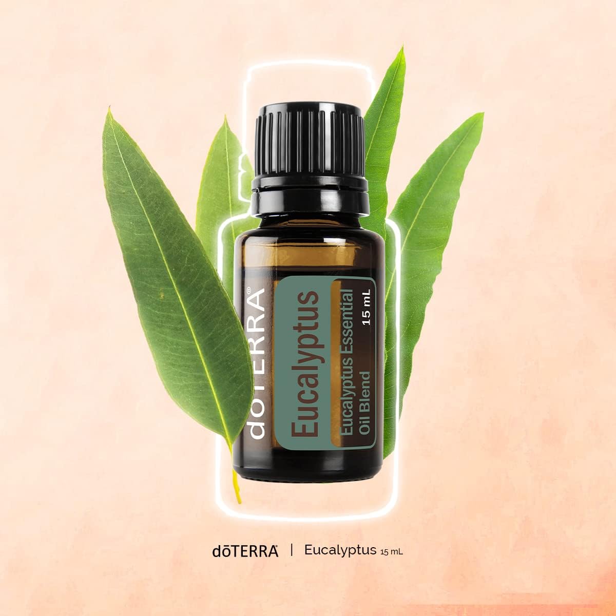 doTERRA Eucalyptus Radiata Essential Oil - 15 mL (2 Pack)