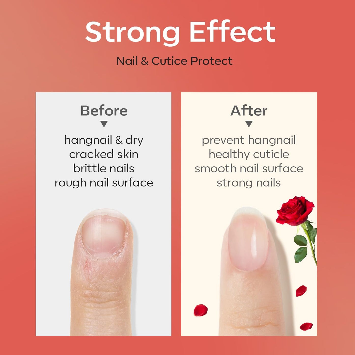 modelones Cuticle Oil for Nails Rose Nail Oil for Growth and Strength Nail Growth Oil Cuticle Care Quick Dry Nail Care Moisturize and Strengthen Damaged Nails 15ml 0.5Fl Oz