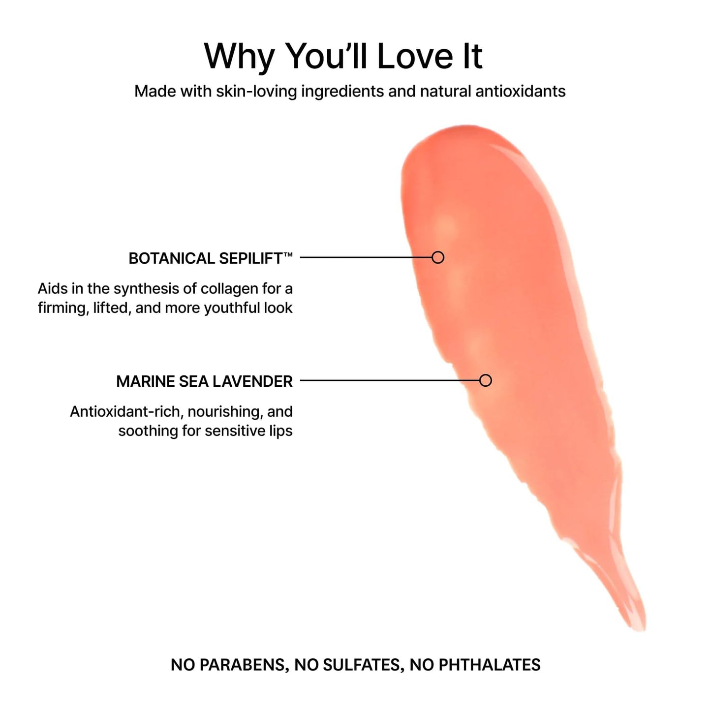 Jillian Dempsey Lip Gloss: Enhance, Hydrate & Smooth Lips with Firming & Plumping Benefits, Vegan, 4ml | Peachy Peach