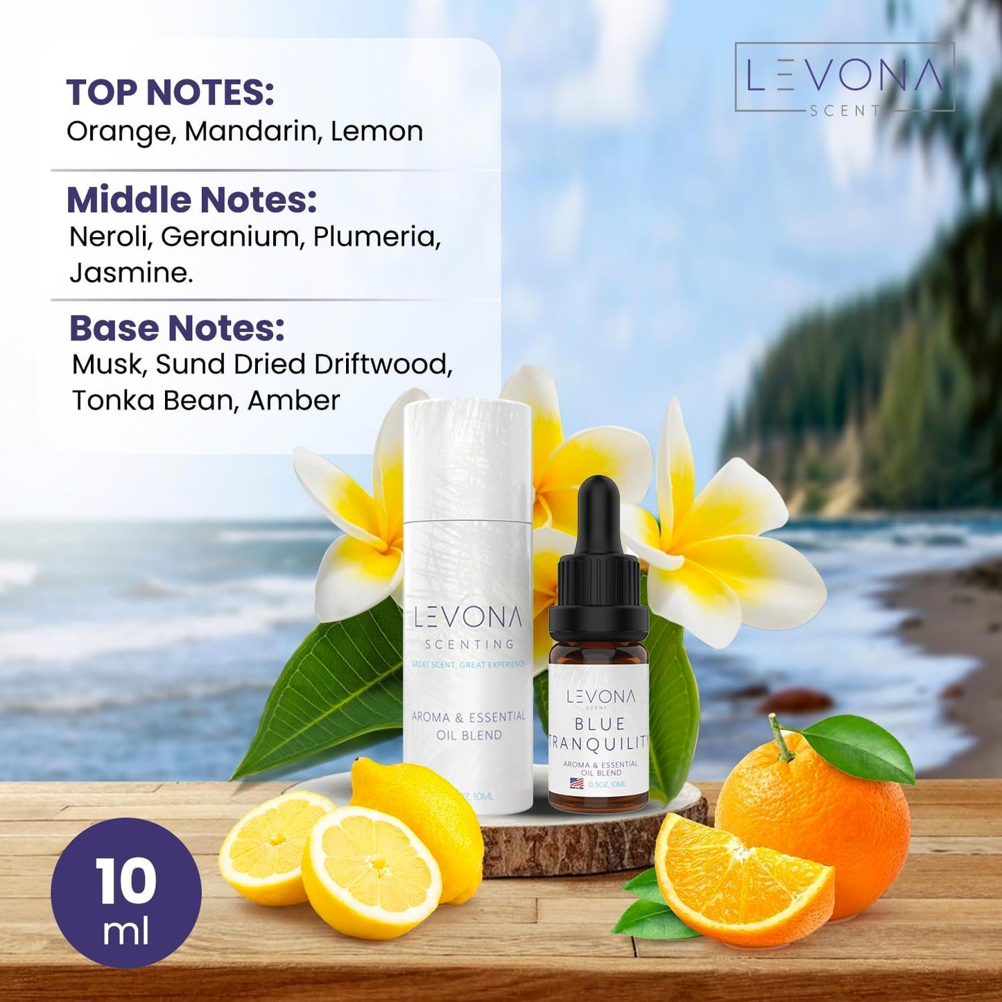 Levona Scent Essential Oils - Scents for Home, Hotel & Office Use - Perfect for Home Diffuser & Humidifiers - Aroma Fragrance Oil, Ideal for Massage, Relaxation, and Spa - Blue Tranquility, 10ml