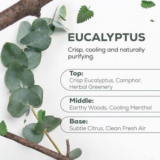 Aroma Country 100% Pure Eucalyptus Essential Oil – Organic & Undiluted Diffuser Oil, Humidifier, Steam Room & Shower Aromatherapy – Natural, Therapeutic Grade Oil for Skin, Sauna, & Home (4 Fl. oz)