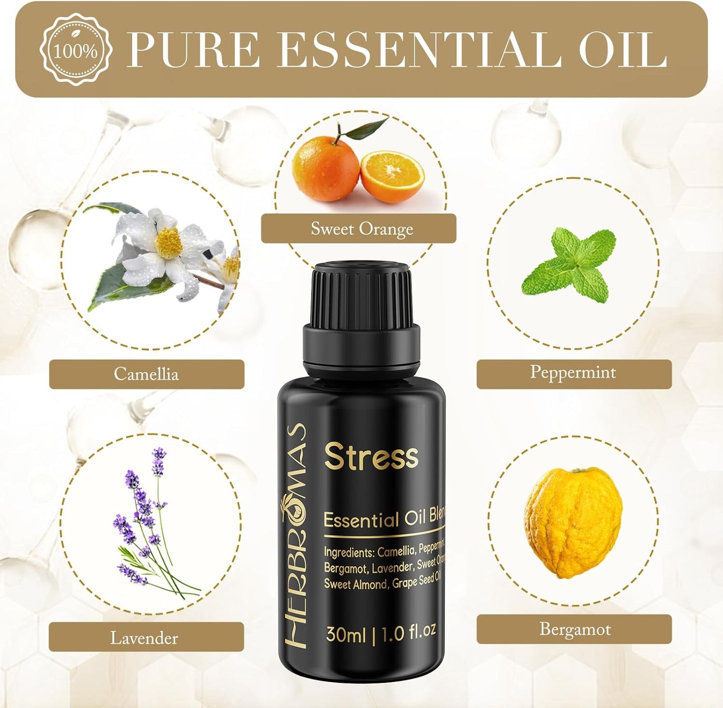 Pre-Diluted Aromatherapy Essential Oils Blend, Natural Plant Essential Oils Refill for Roll-on (Focus, 1)