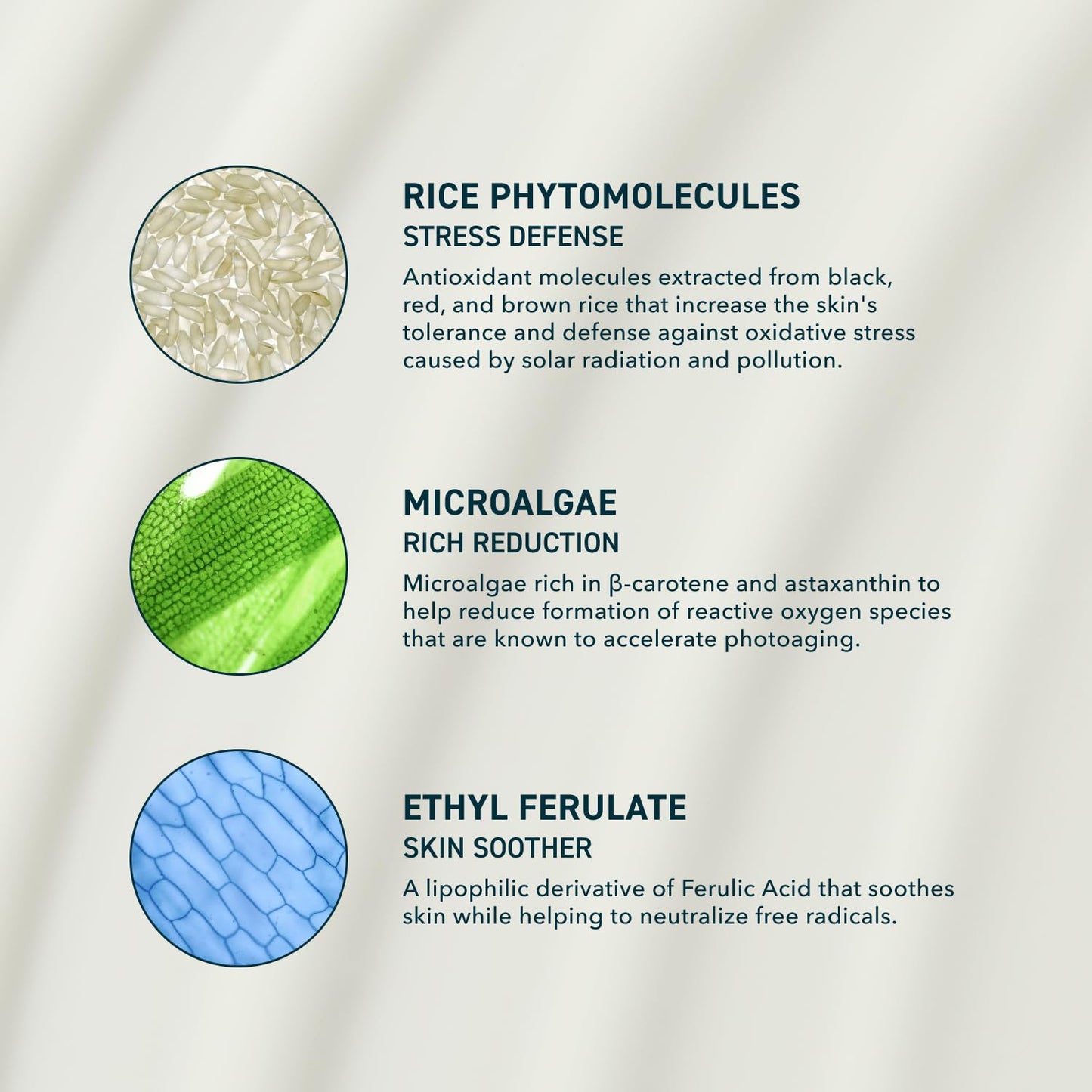 Skin Solar Shade - Moisturizing Face Sunscreen SPF 46 PA++++ Broad Spectrum UV Protection. Hydrating Sunblock for Dry Skin. Lightweight Travel Size Sun Protection, 1.7oz