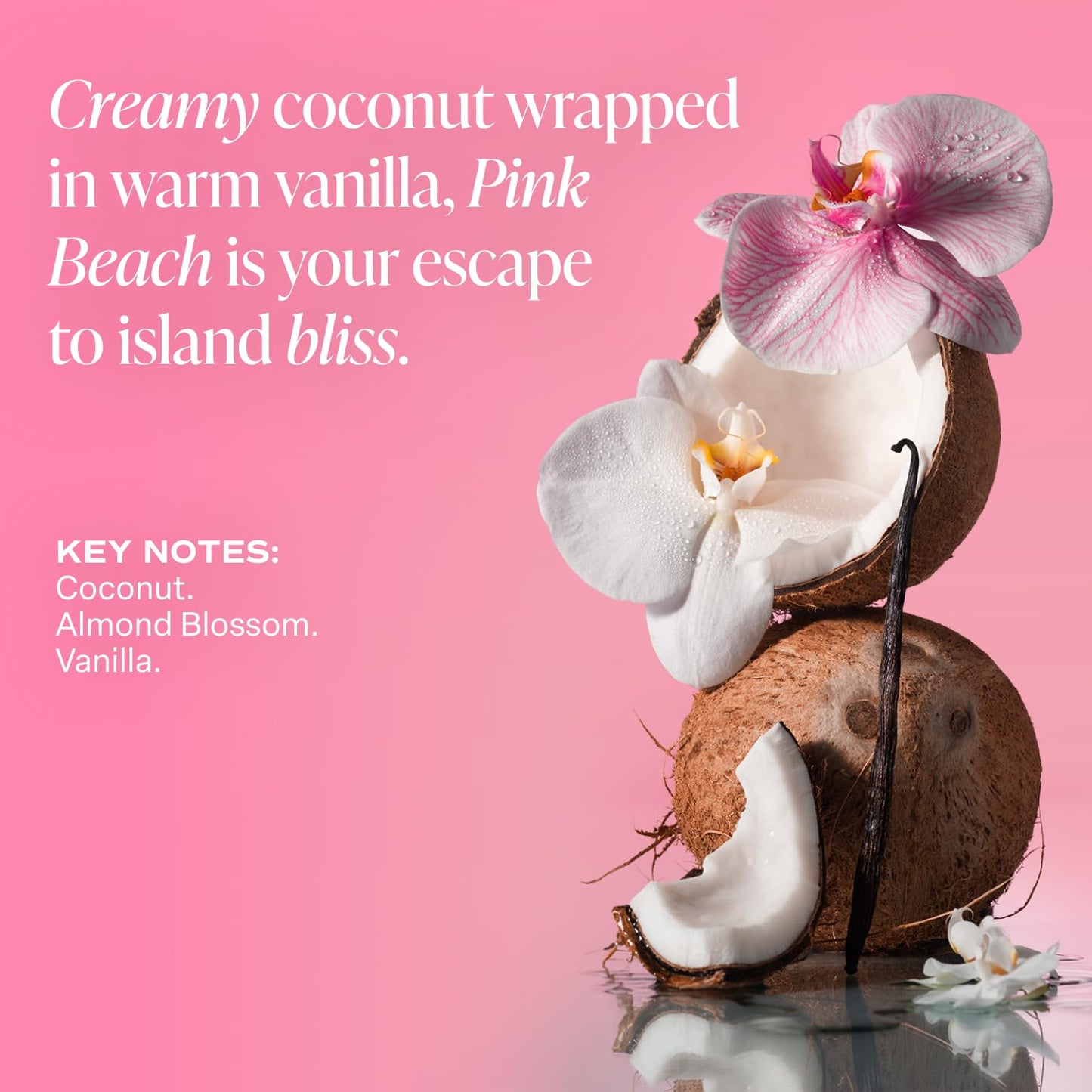 Saltair Multi-Lipid Body Butter - Rich, Nourishing Pink Beach Hydrating Body Cream with Ceramide Complex, Coconut Oil, Shea Butter, and Sea Buckthorn. Deep Moisturizing Dry Skin Care. 10oz Jar