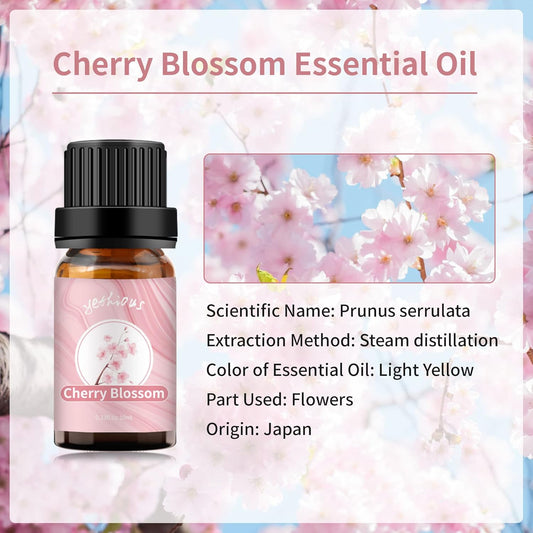 Yethious Cherry Blossom Essential Oil 10ML Set, Aromatherapy Oil for Diffuser, Fragrance, Soap Candle Making (2 Pack)