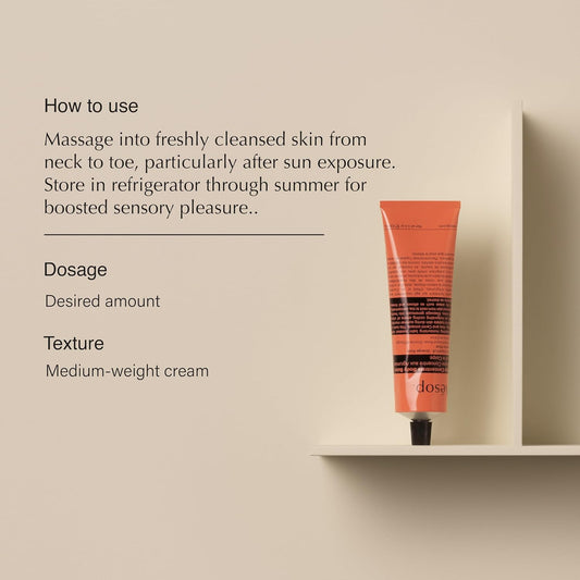 Aesop Rind Concentrate Travel Body Balm | Nourish and Smooth Skin with Shea and Cocoa Butter | Aloe Vera Juice to Soothe and Hydrate | 3.4oz / 100mL