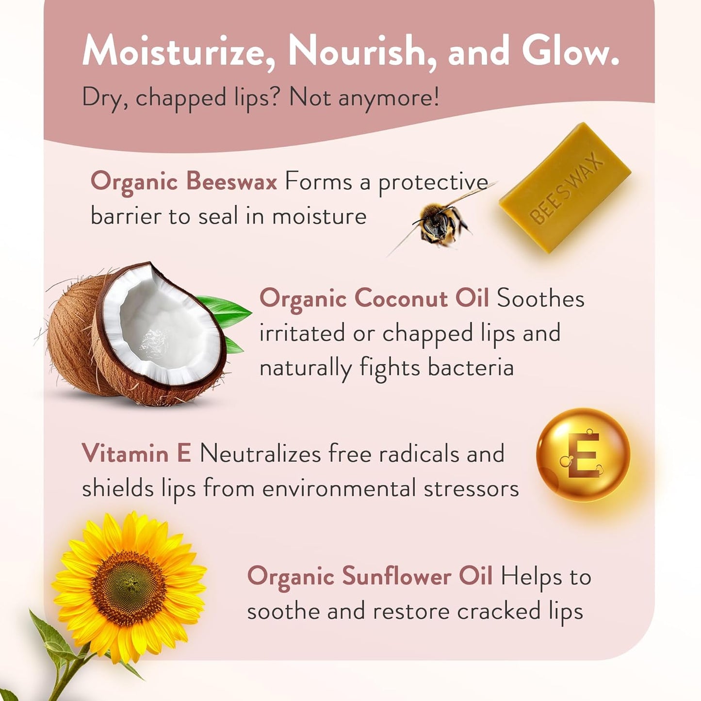 Moroccan Magic Organic Peppermint Eucalyptus Lip Balm 3 Pack | Ultra-Hydrating Argan & Essential Oil Lip Moisturizer + Vitamin E | Natural Mint Chapstick for Dry Lips | Non-Toxic | Organic Lip Balm