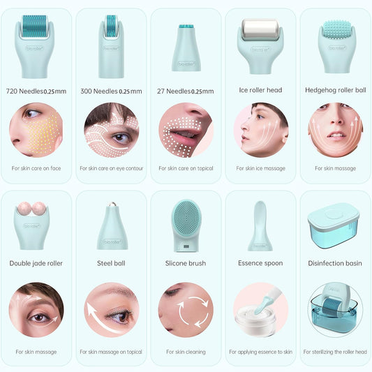 10 in 1 Derma Roller Kit, 0.25mm Microneedling Roller Microneedle Derma Roller with, Facial Beauty Roller Skin Care Tools, 10 Replaceable Heads and Storage Case