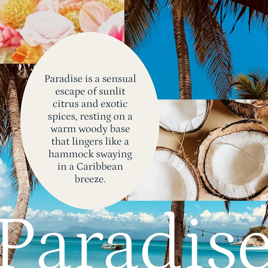 PuroSentido Paradise Tropical Aroma Oil (120 ml) - Luxury Essential & Fragrance Oil for Diffusers and Humidifiers, Creamy Coconut, Floral Notes & Soft Woods Home & Hotel Scent