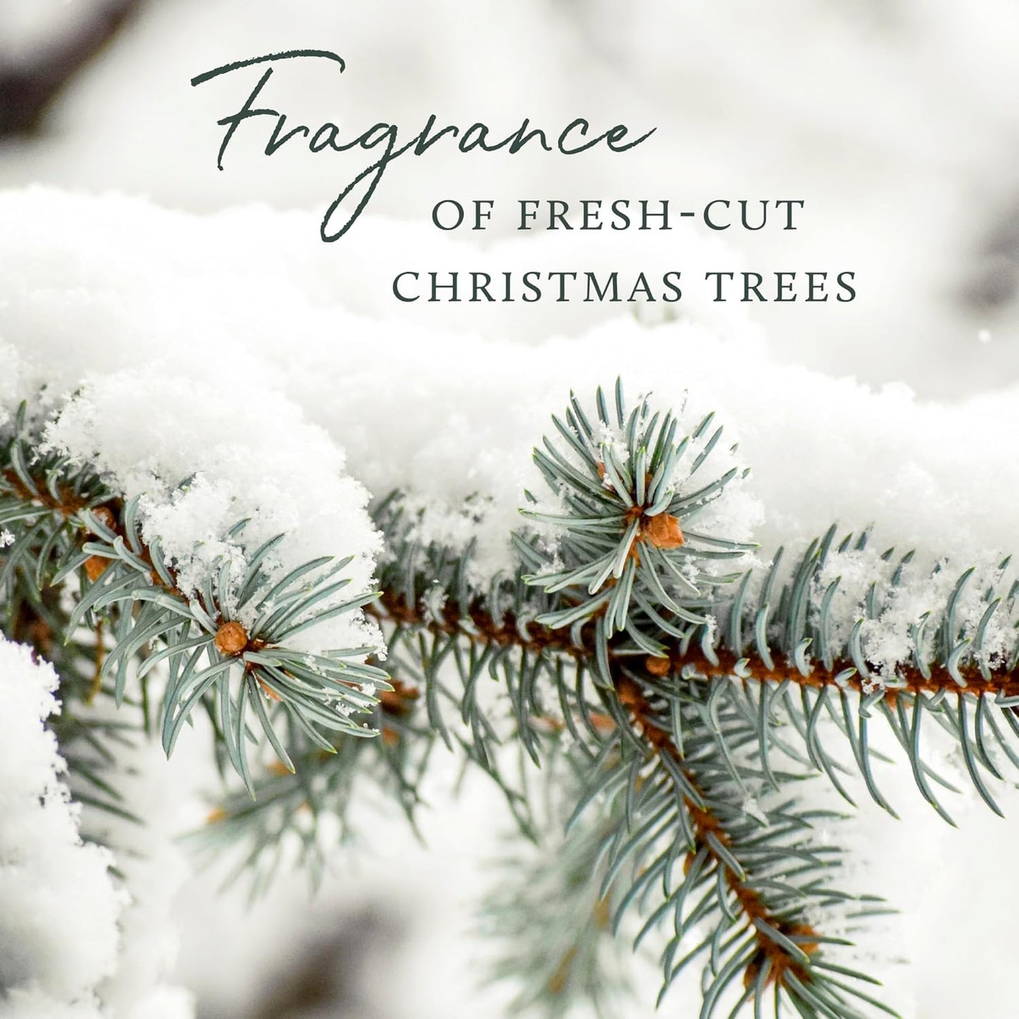 Thymes Frasier Fir Hand Cream, Travel Tin Candle Jar and Bar Soap Gift Set - Scented with Notes of Siberian Fir, Cedarwood, and Sandalwood - Luxury Home Fragrance Set - Hostess Gift for the Holidays