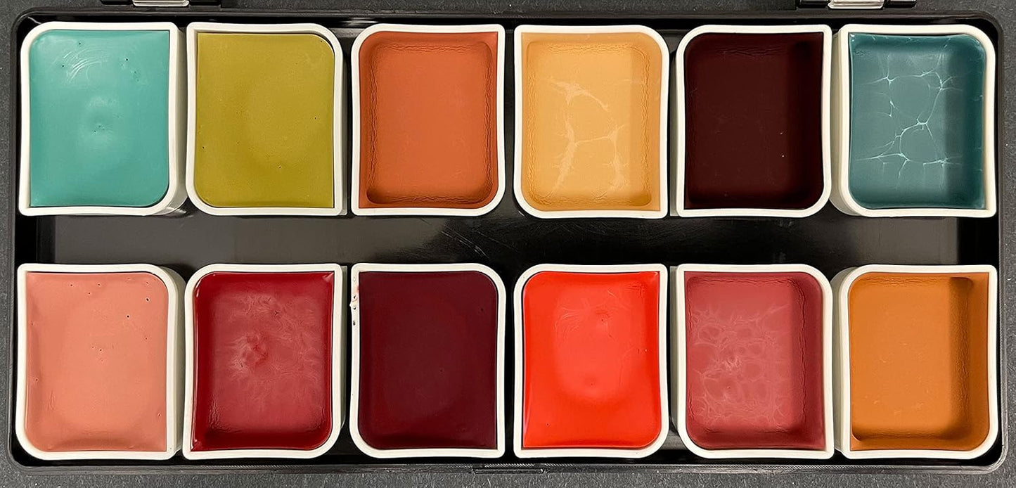 12-Color Complexion Alcohol-Activated Palette, Professional Quick Drying Waterproof SFX Makeup, Tattoo Cover