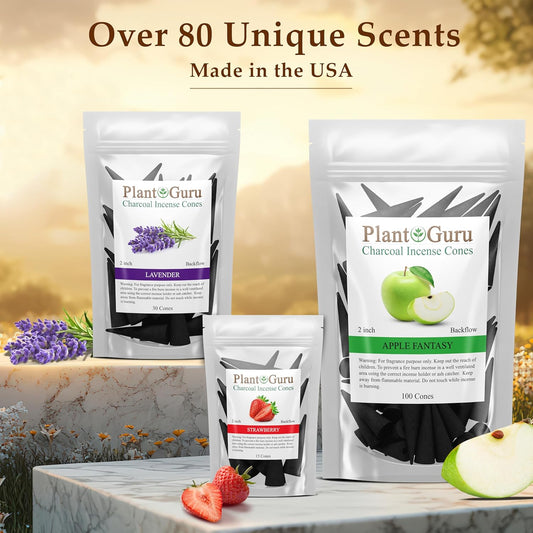 Sandalwood Charcoal Incense Cones 2" TOPLOW - 60 Pack Bulk - Natural Scented Cones Handmade Hand Dipped