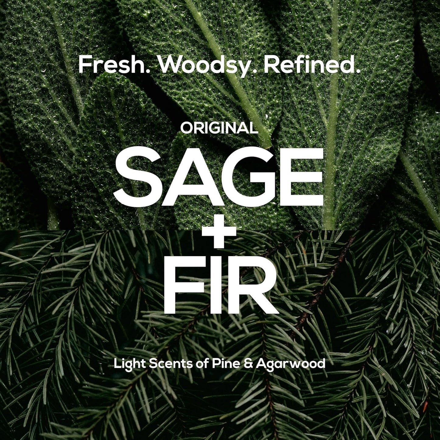 MARLOWE. No. 002 Body Lotion 15 oz Pump, Original, Revitalizing Dry Skin Lotion with Aloe Vera & Amino Acids, Hydrates & Nourishes, Lightly Scented